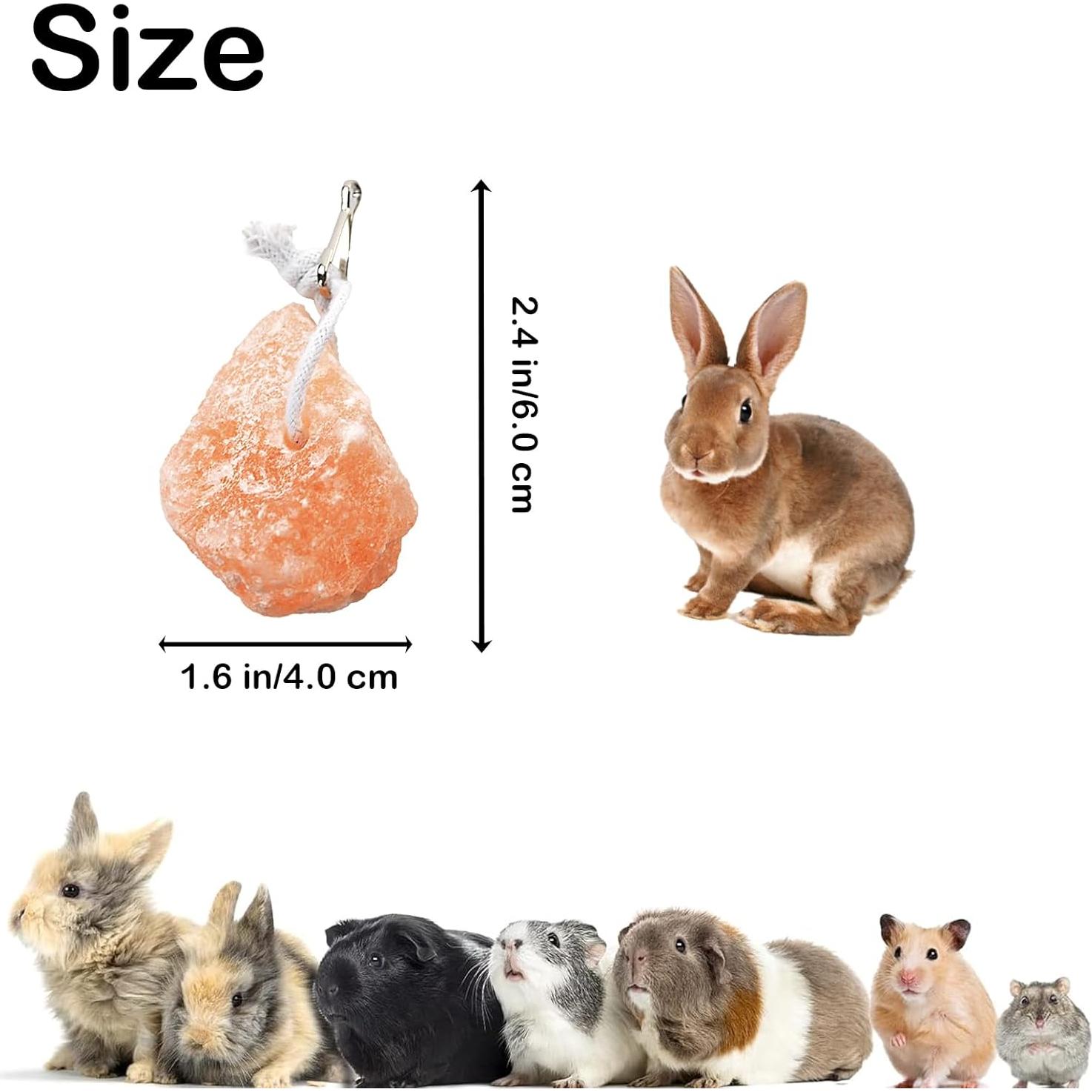 Bloques de Sal Himalayo PINVNBY para Conejos - 4 Piezas