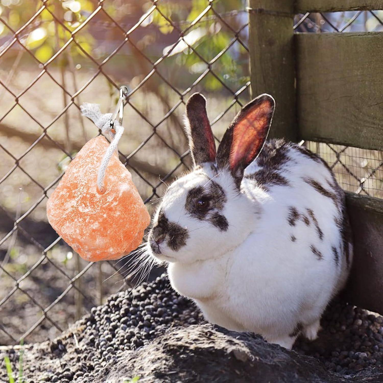 Bloques de Sal Himalayo PINVNBY para Conejos - 4 Piezas