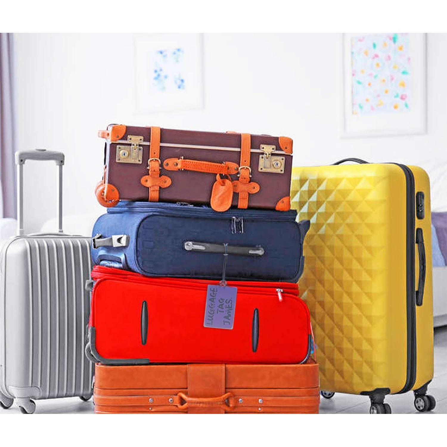 Lazos de Equipaje Mini Skater 12.7 cm 10 Pcs Transparente