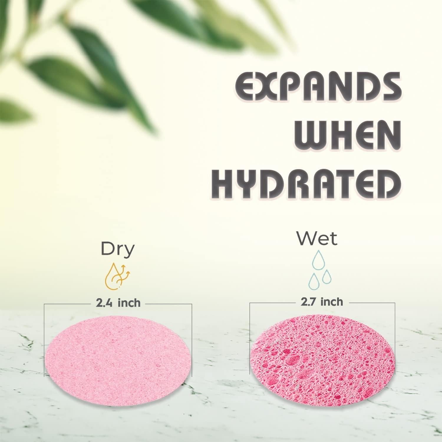 Esponjas Faciales Comprimidas Miaform 60 Unidades Rosa