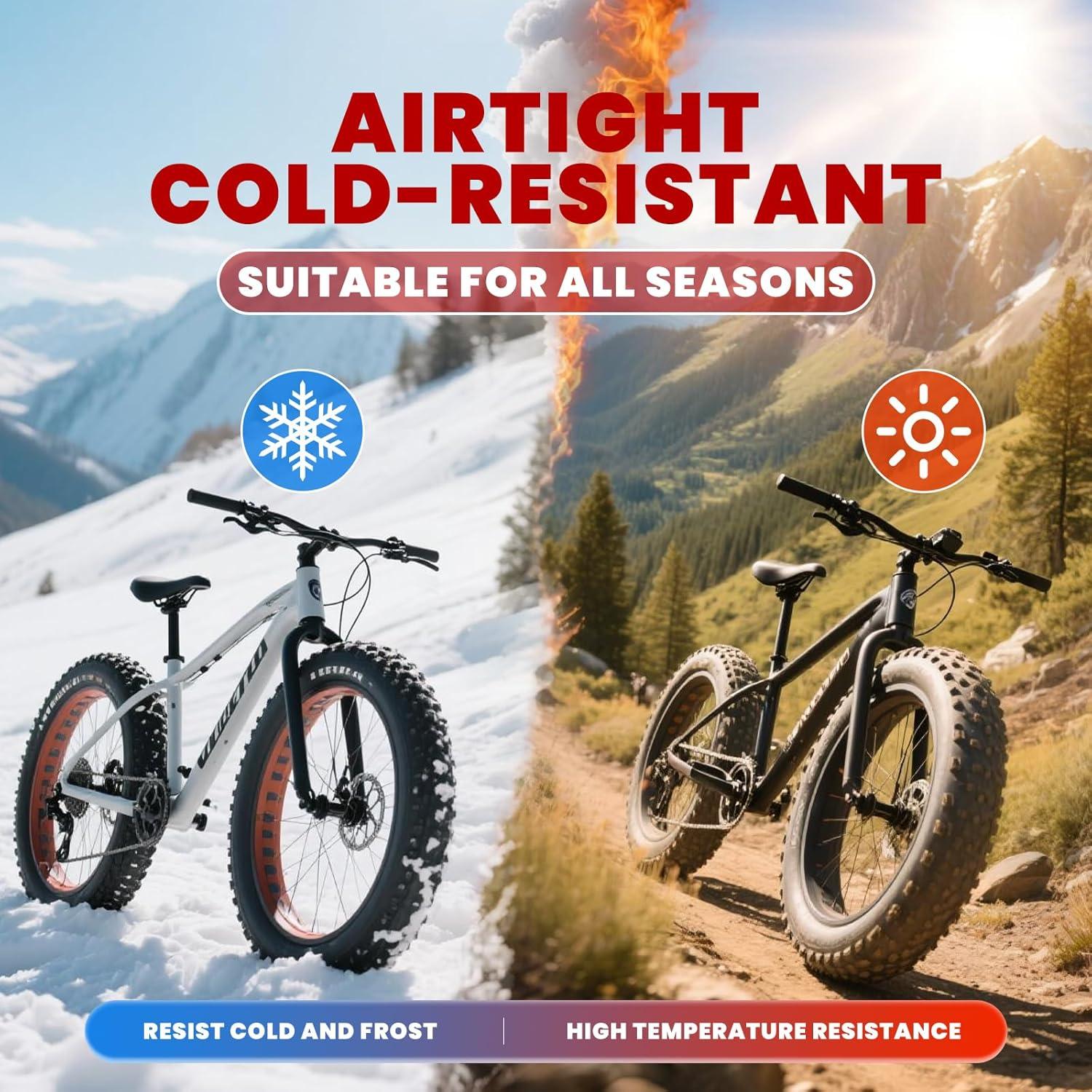 Paquete de 2 Tubos Internos Vancom 20x3.0/3.5 Válvula Schrader