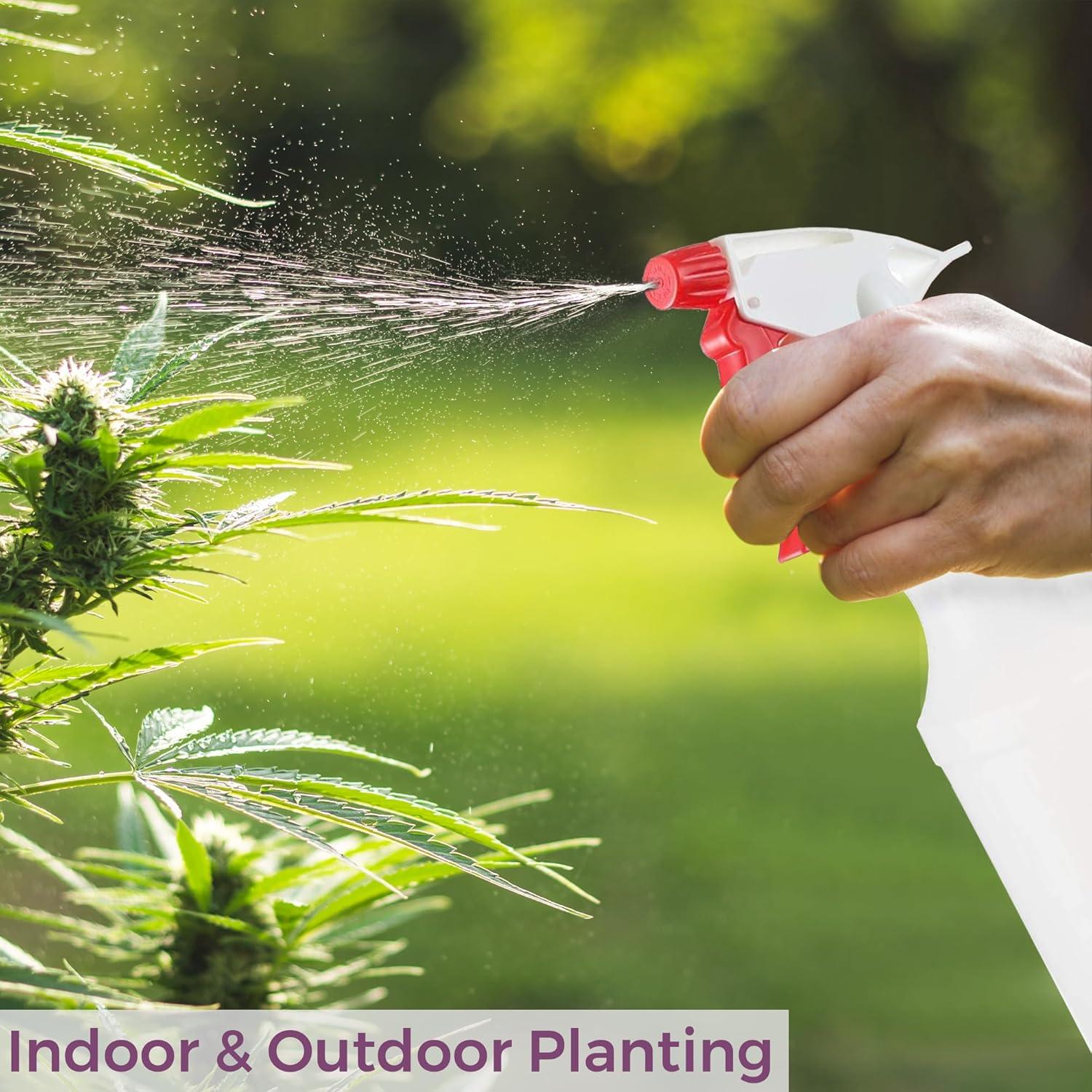 Botellas de Spray DilaBee 500ml - Paquete de 2 Reutilizables