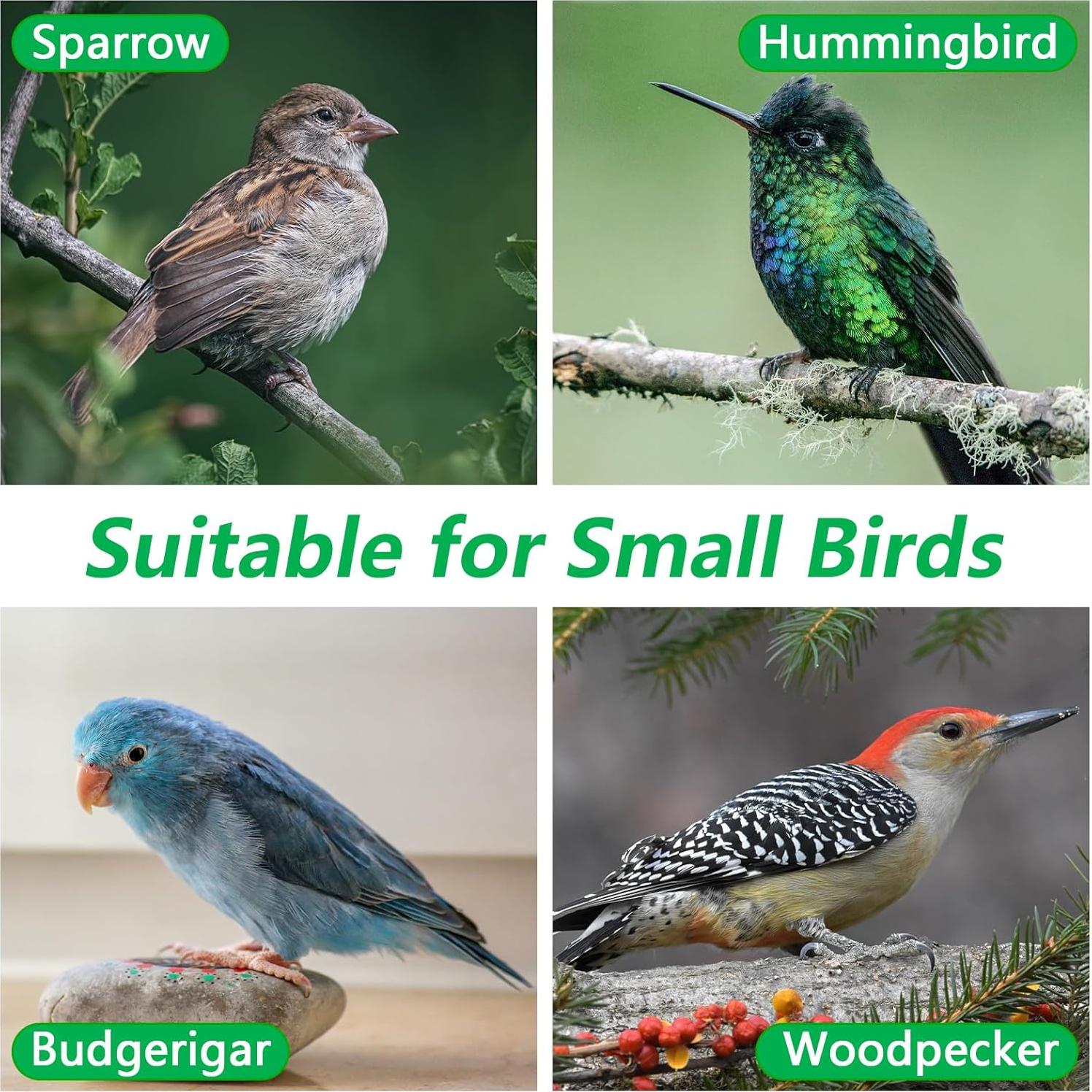 Casa para Aves de Madera GARDYUE Mediana con Protector