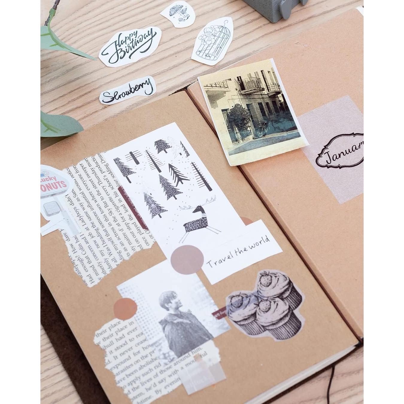 Papel Térmico Adhesivo Phomemo 50mm, 3 Rollos, Texto Negro