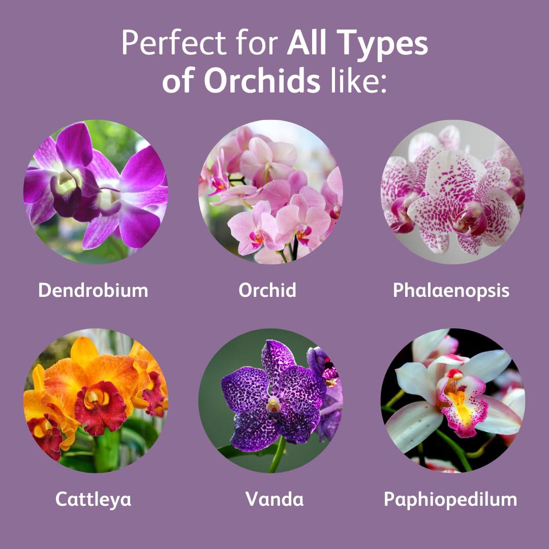 Gotas de Alimento para Orquídeas Chrysal - 1 Paquete 12 Meses