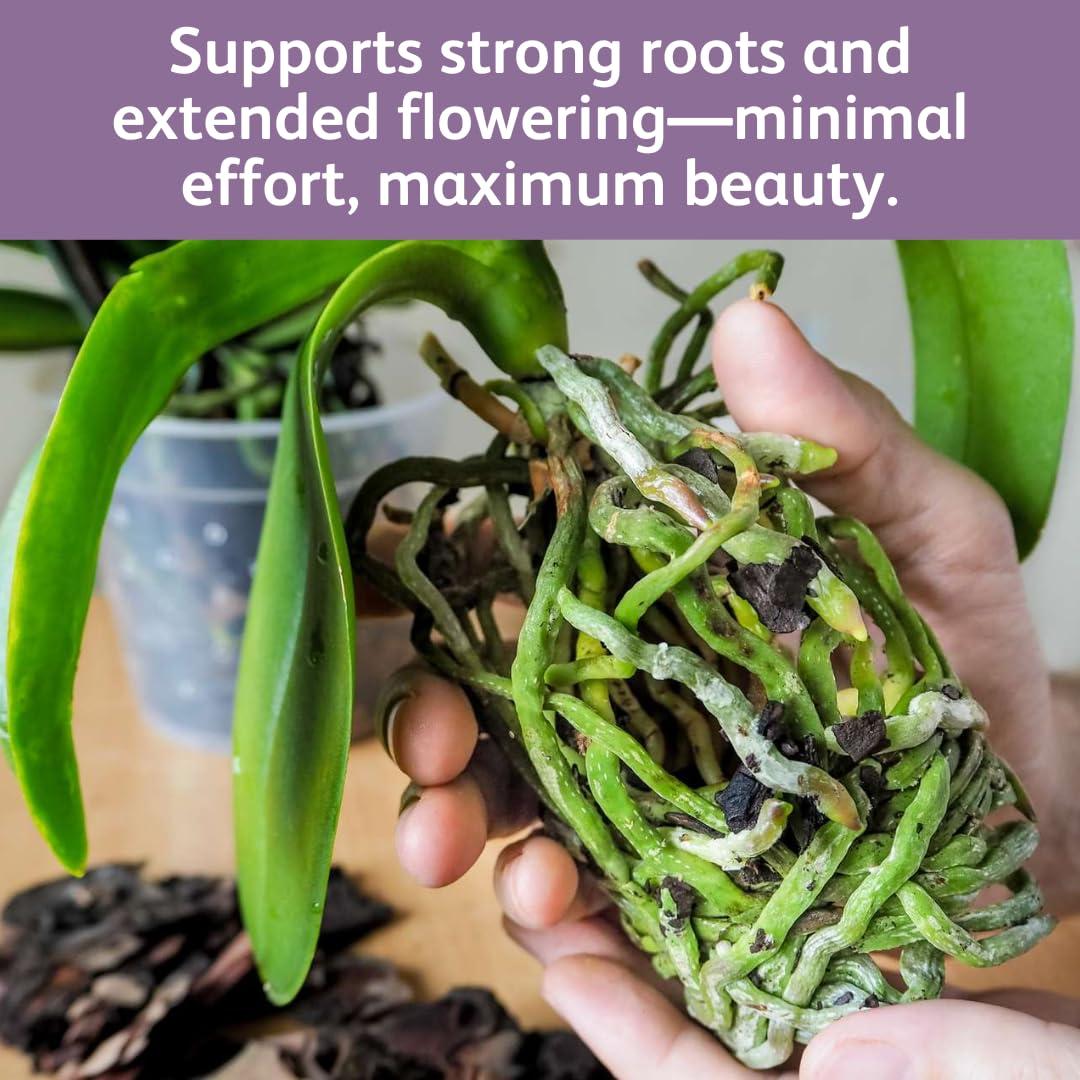 Gotas de Alimento para Orquídeas Chrysal - 1 Paquete 12 Meses