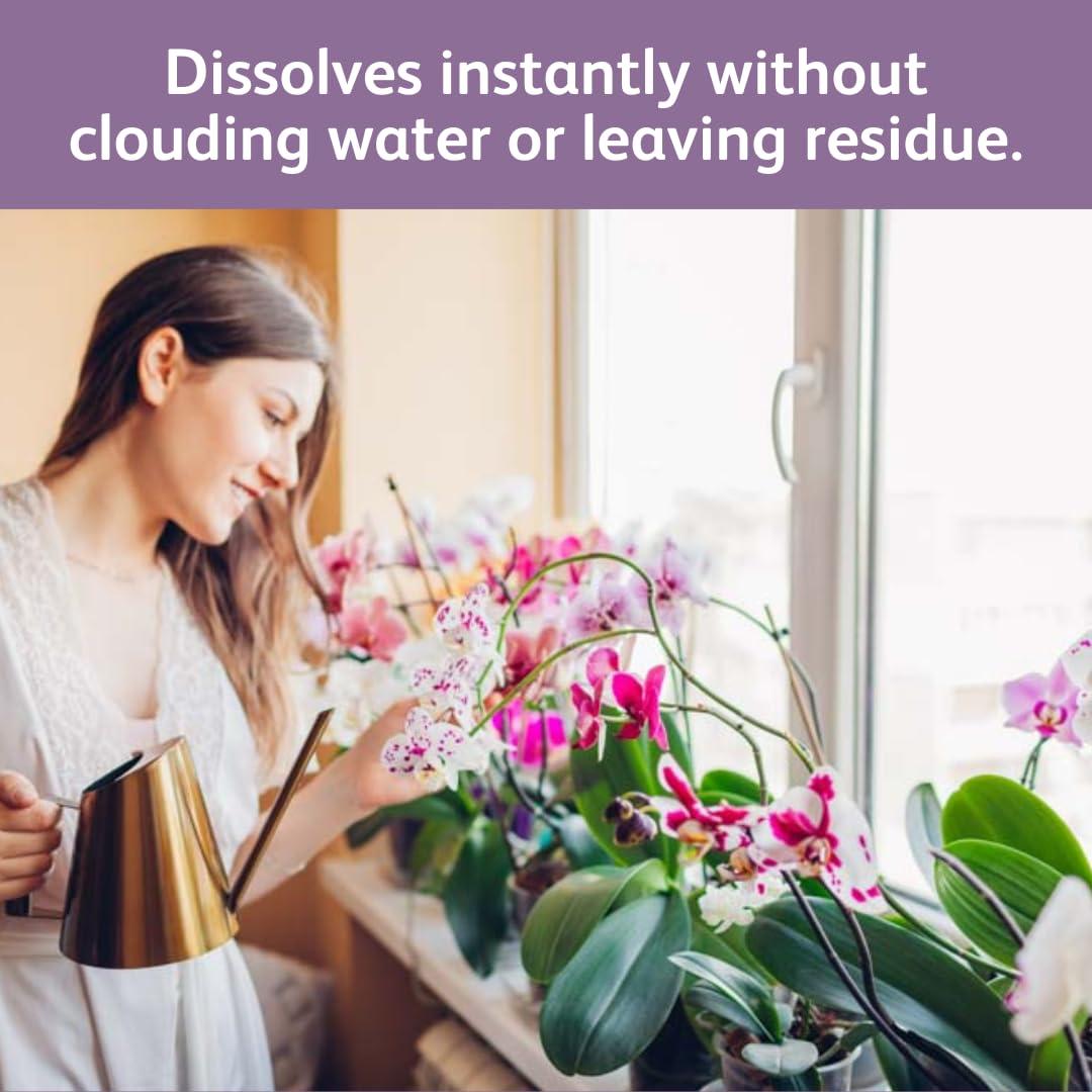 Gotas de Alimento para Orquídeas Chrysal - 1 Paquete 12 Meses