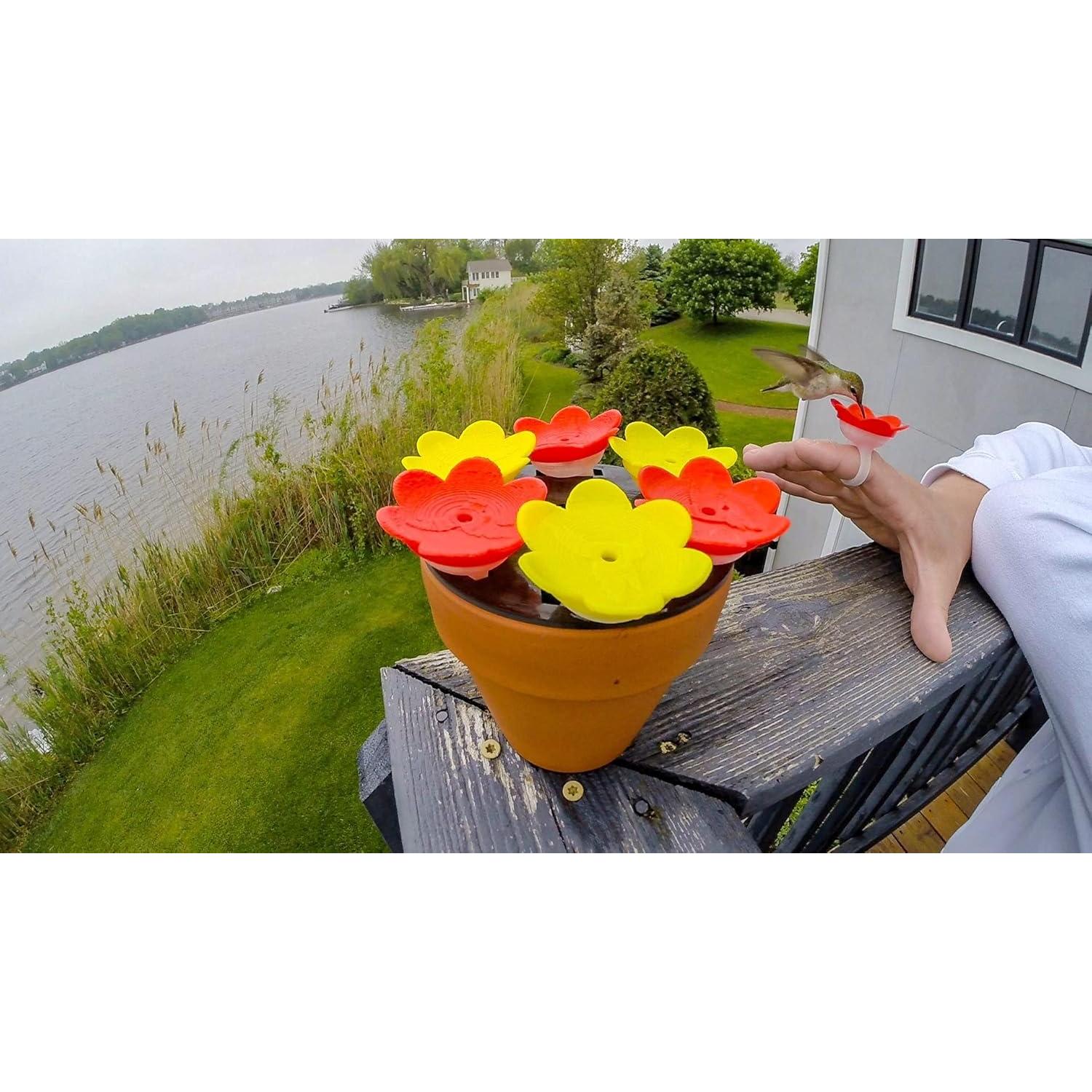 Alimentador de Colibríes ZUMMR Púrpura - Hecho en EE. UU.