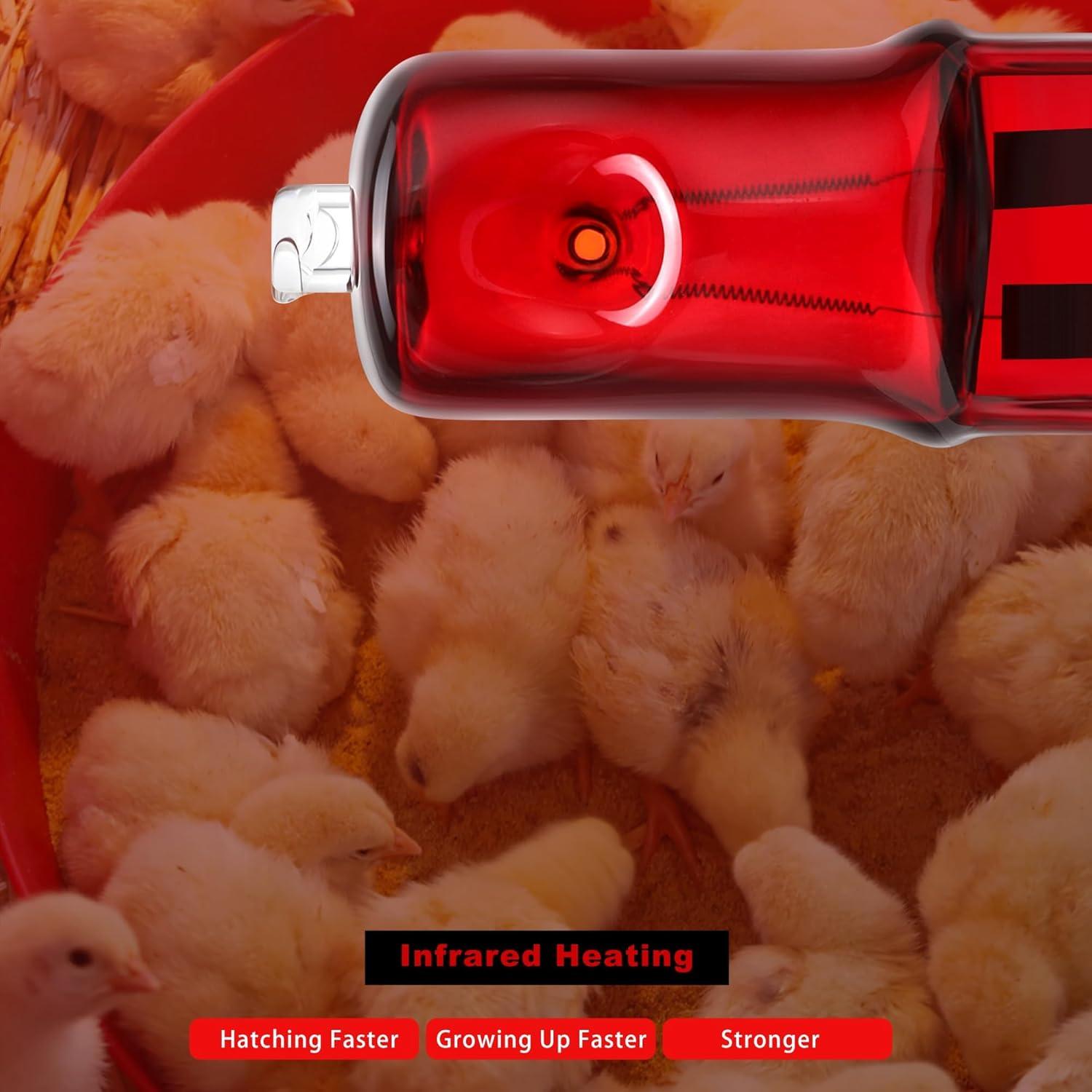 Paquete de 3 Lámparas de Calor Infrarrojas EXOREPTI 25W