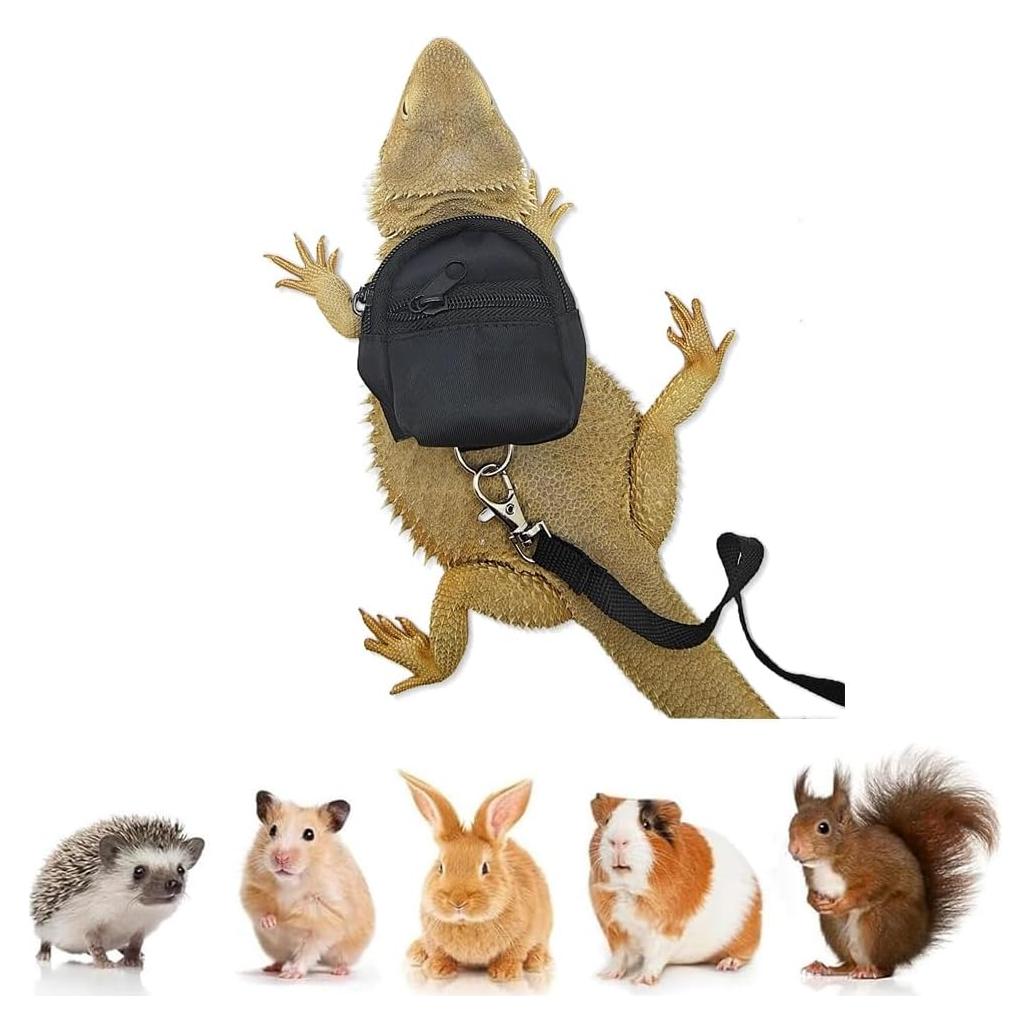 Conjunto Arnés y Correa para Reptiles Pequeños FORZENA Negro