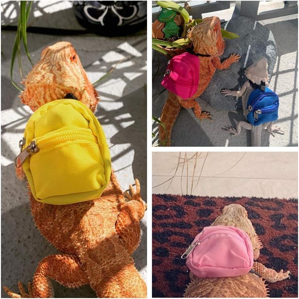 Conjunto Arnés y Correa para Reptiles Pequeños FORZENA Negro