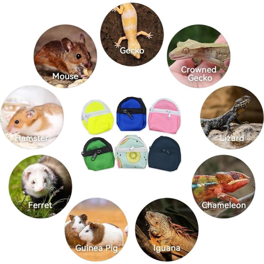 Conjunto Arnés y Correa para Reptiles Pequeños FORZENA Negro