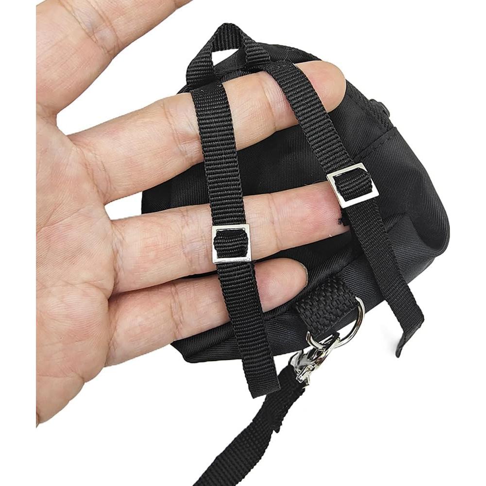 Conjunto Arnés y Correa para Reptiles Pequeños FORZENA Negro