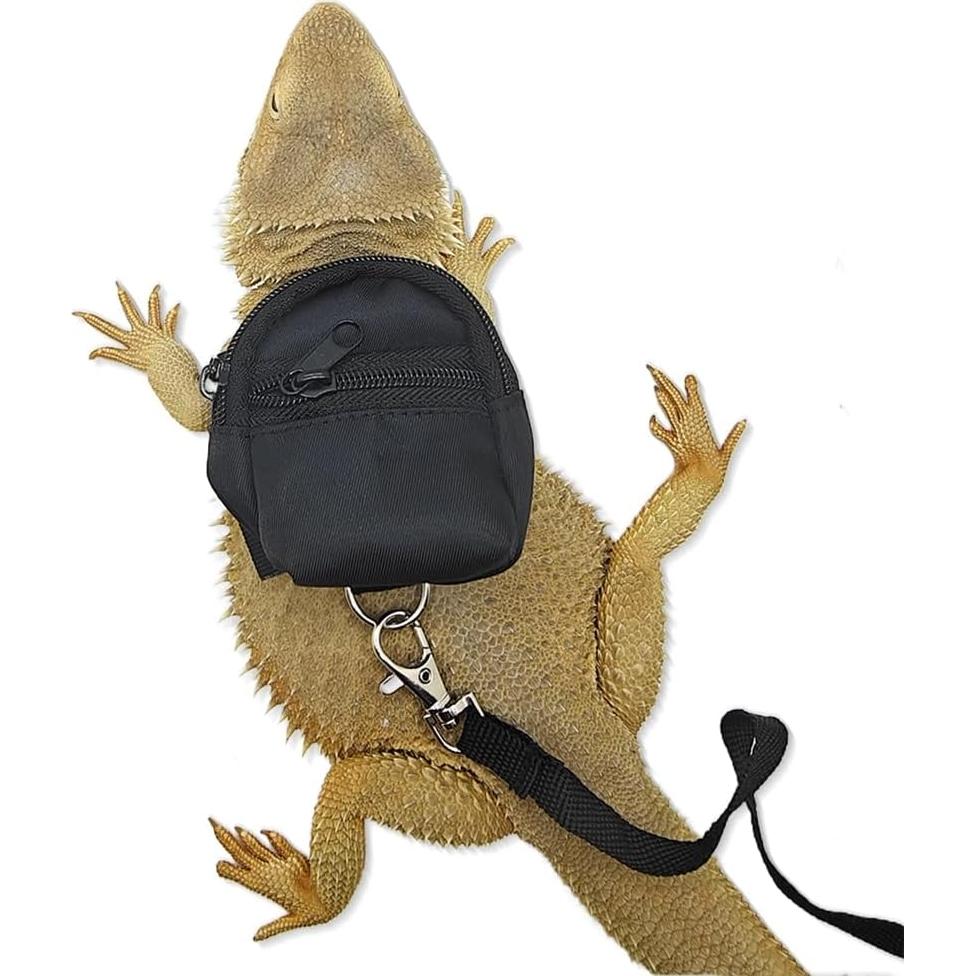 Conjunto Arnés y Correa para Reptiles Pequeños FORZENA Negro