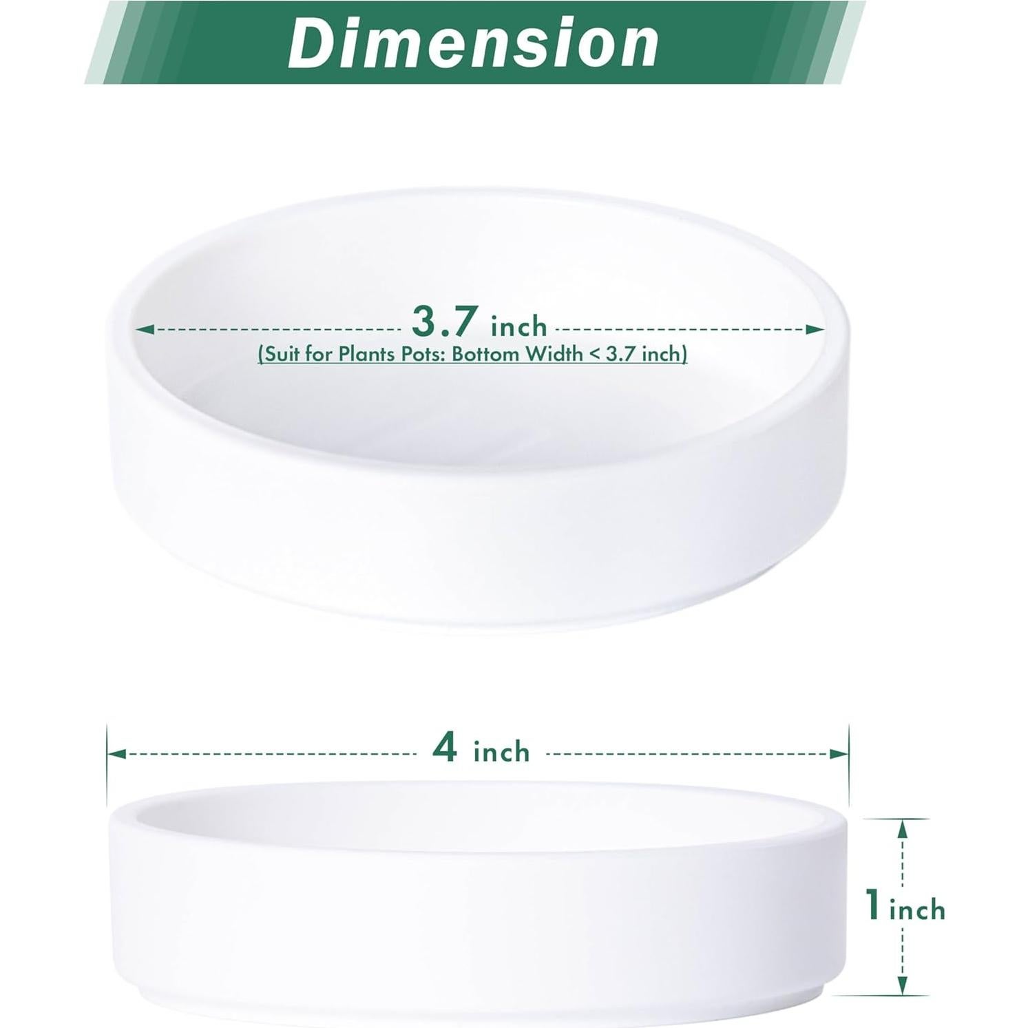 Plato de Planta Phoenix Vine 10.16 cm Blanco Mate Drenaje
