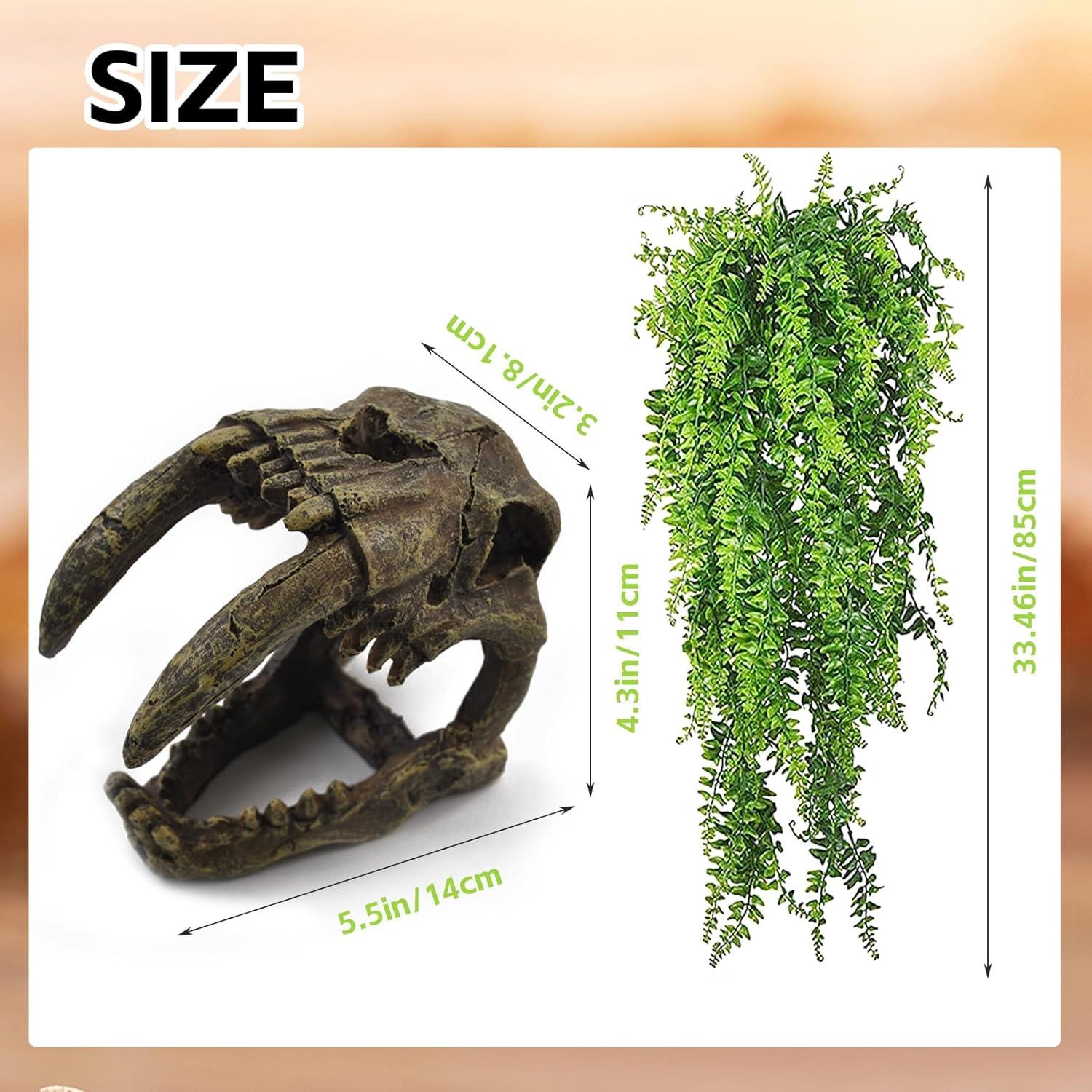 Decoración para Terrario MUYG - Calavera y Hamaca para Reptiles