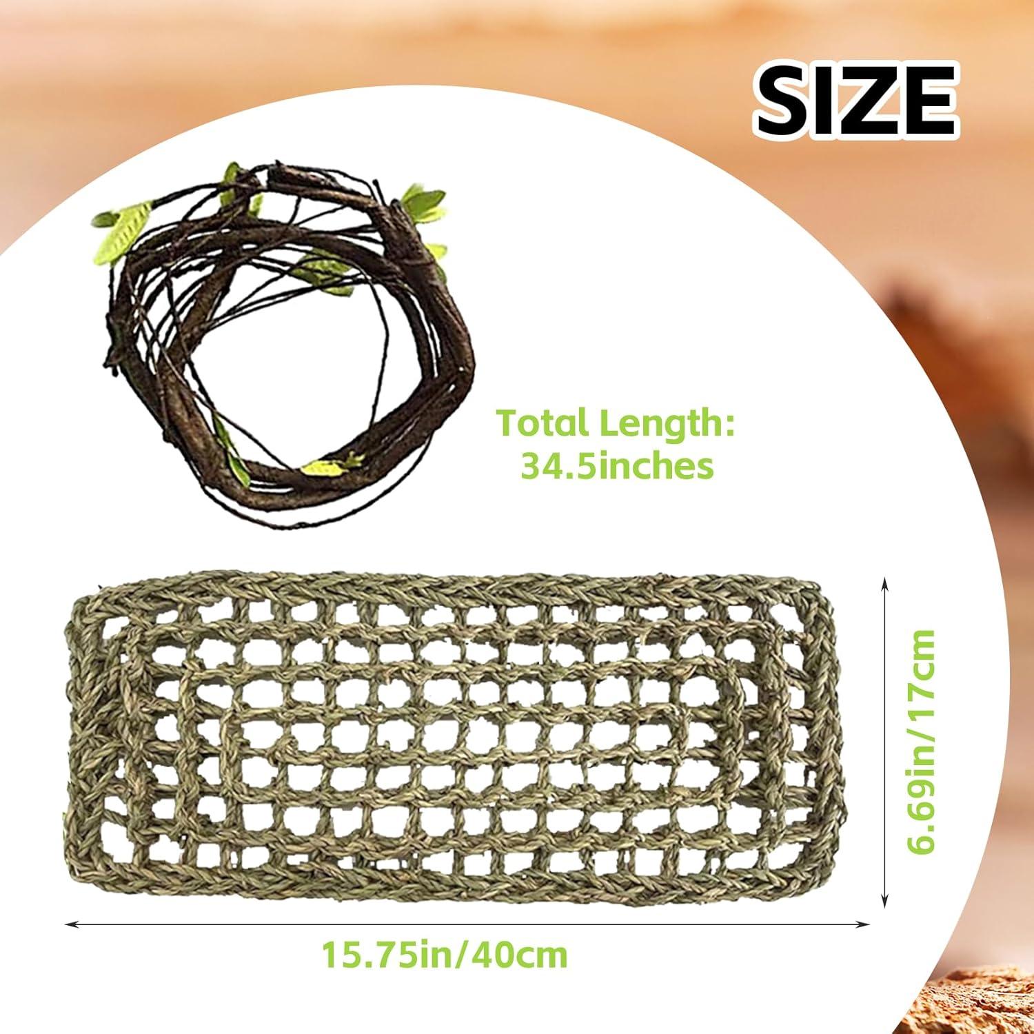 Decoración para Terrario MUYG - Calavera y Hamaca para Reptiles