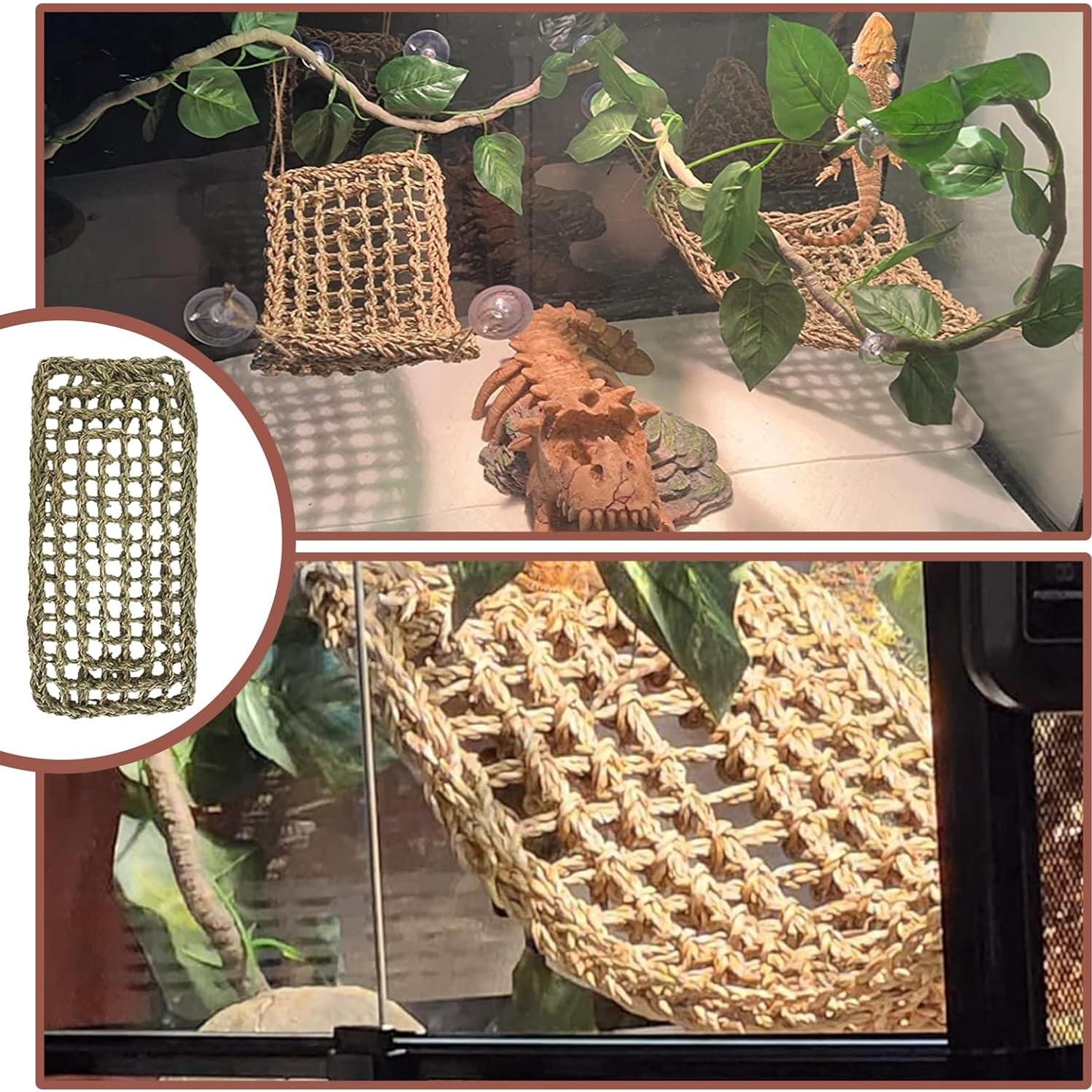 Decoración para Terrario MUYG - Calavera y Hamaca para Reptiles