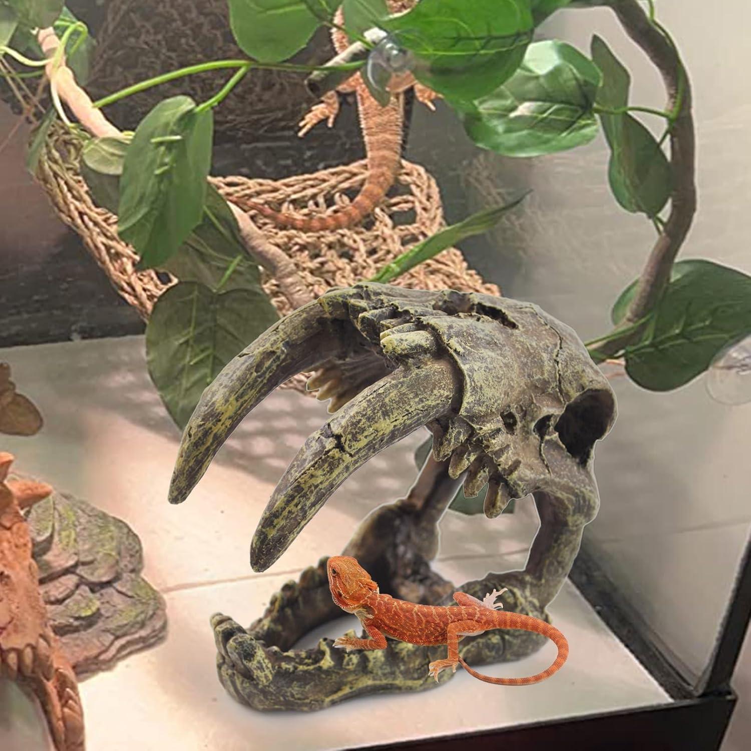 Decoración para Terrario MUYG - Calavera y Hamaca para Reptiles