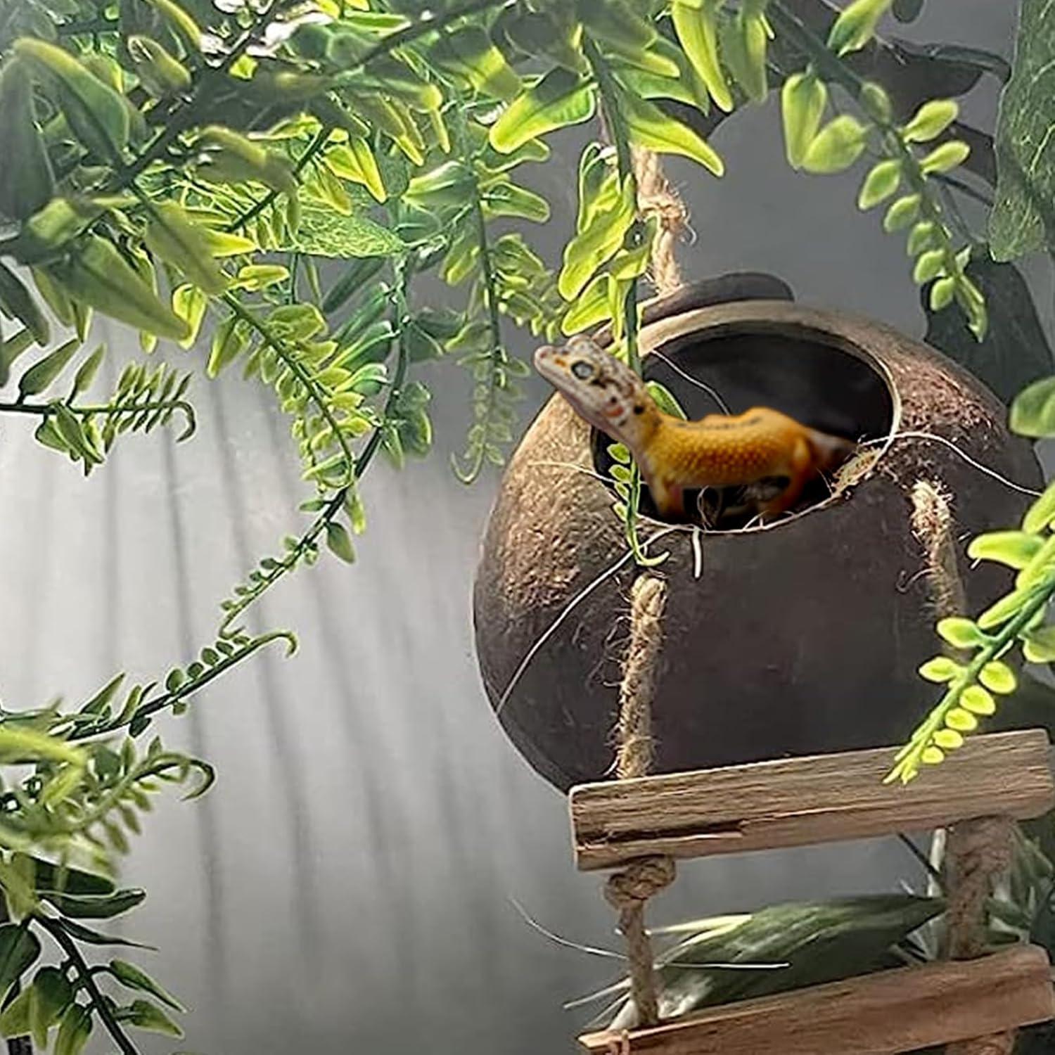 Accesorios para Terrario MUYG - Refugio de Coco y Hamaca