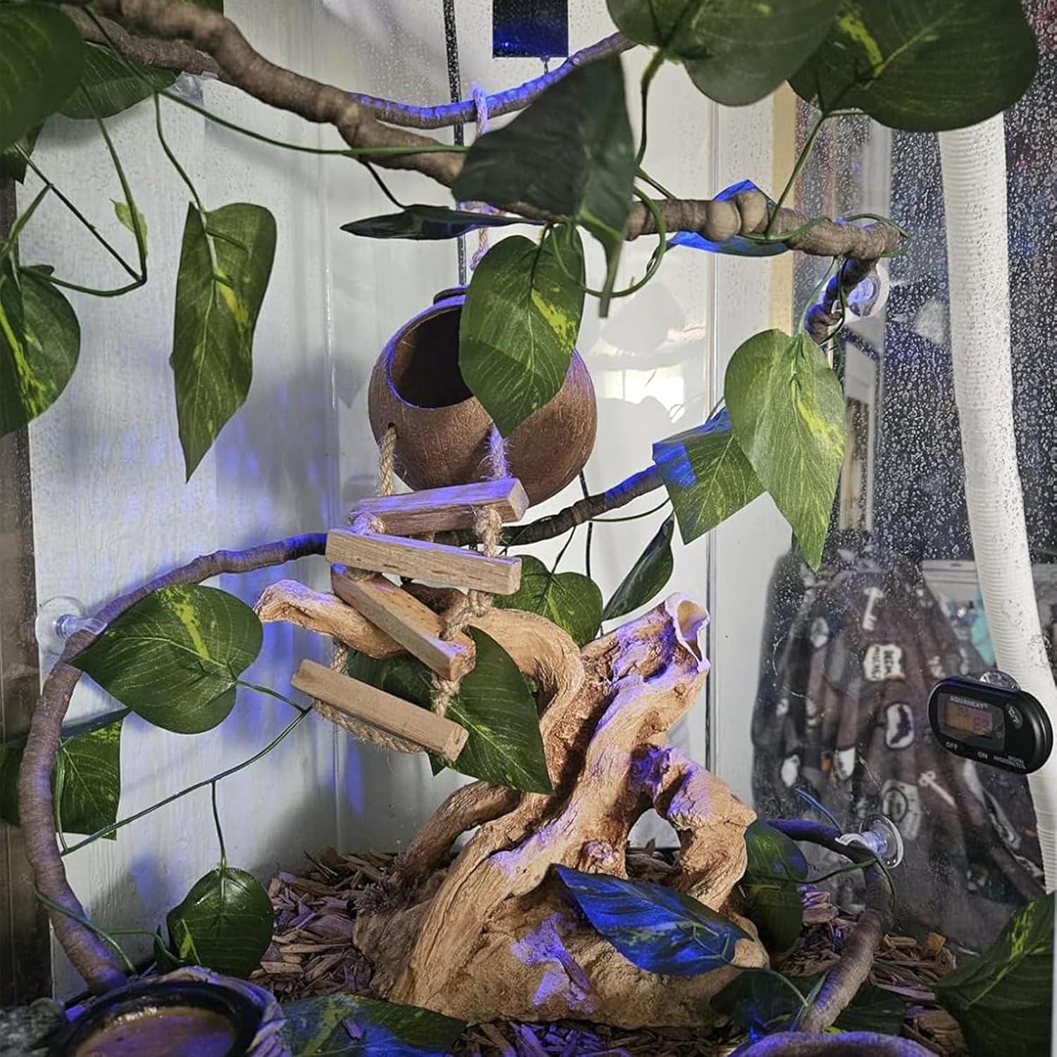 Accesorios para Terrario MUYG - Refugio de Coco y Hamaca