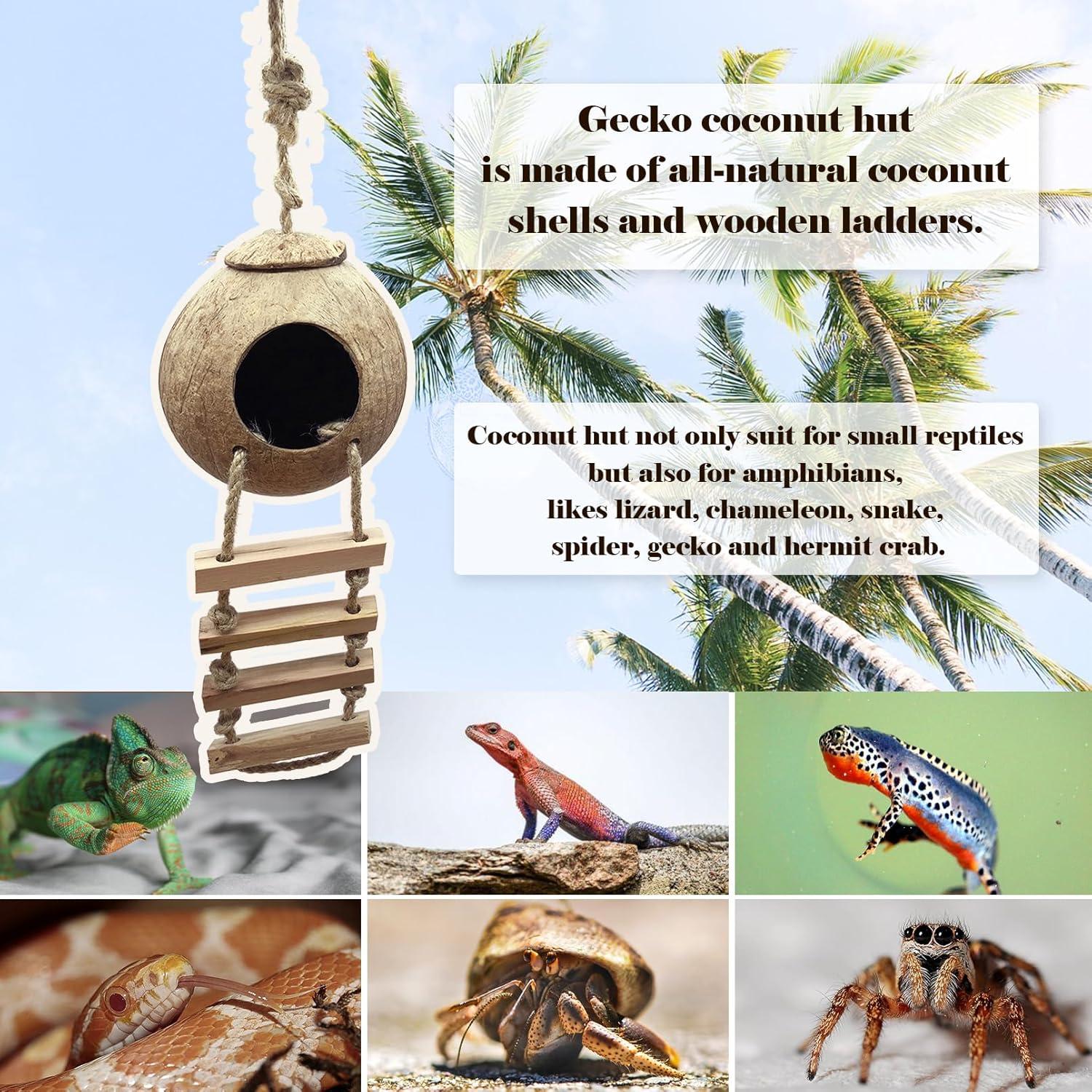 Accesorios para Terrario MUYG - Refugio de Coco y Hamaca