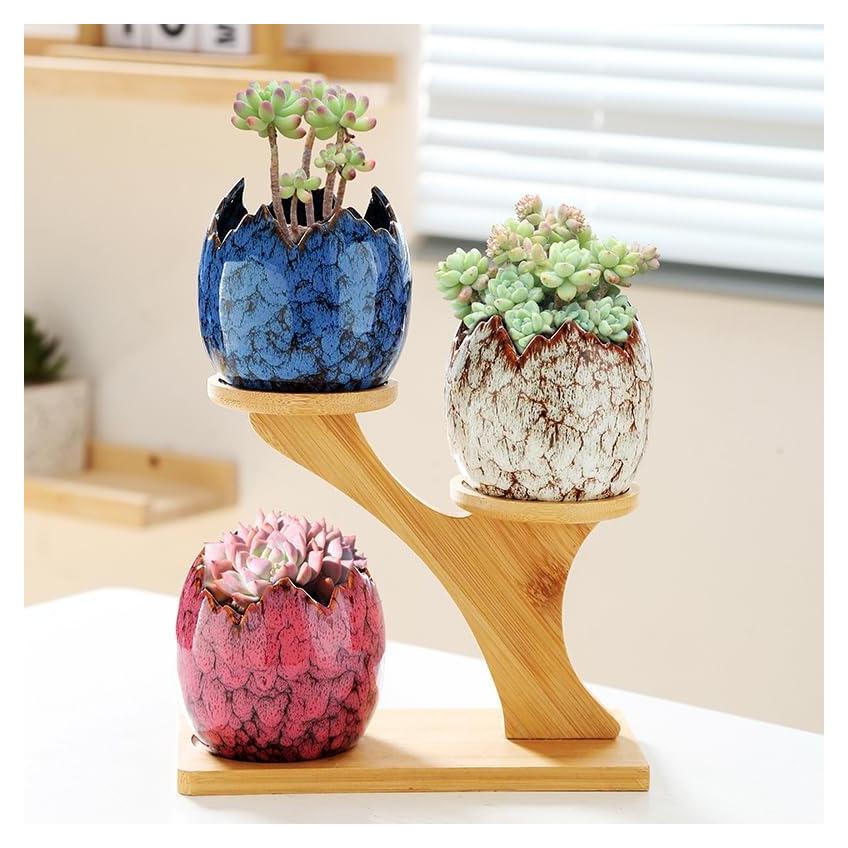 Macetas de Suculentas Cerámicas YYW con Soporte de Bambú 3 Pcs