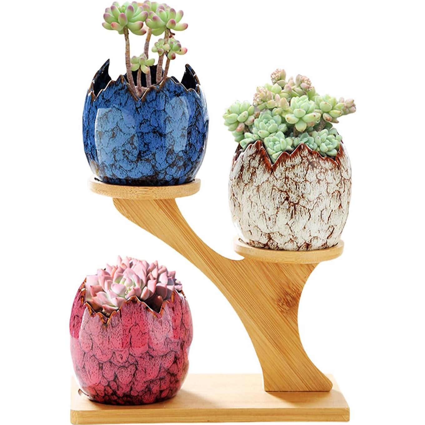 Macetas de Suculentas Cerámicas YYW con Soporte de Bambú 3 Pcs