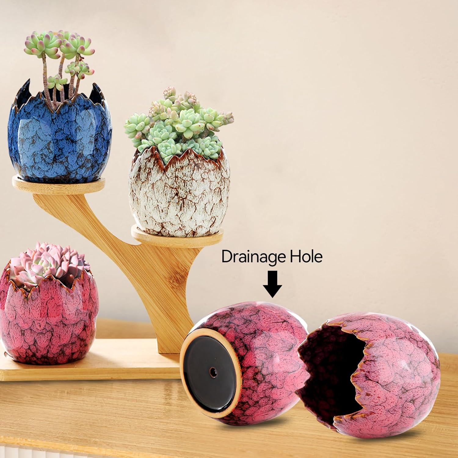 Macetas de Suculentas Cerámicas YYW con Soporte de Bambú 3 Pcs