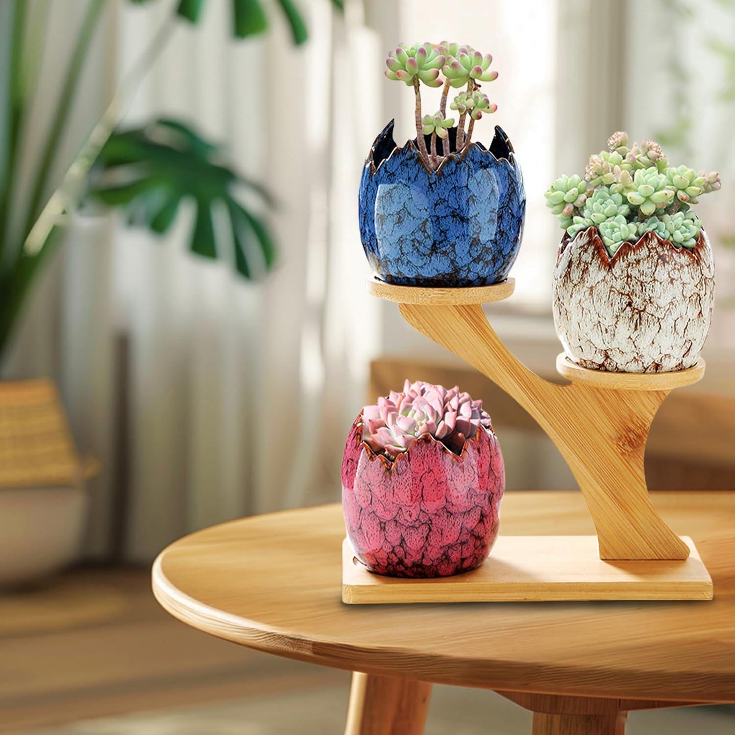 Macetas de Suculentas Cerámicas YYW con Soporte de Bambú 3 Pcs