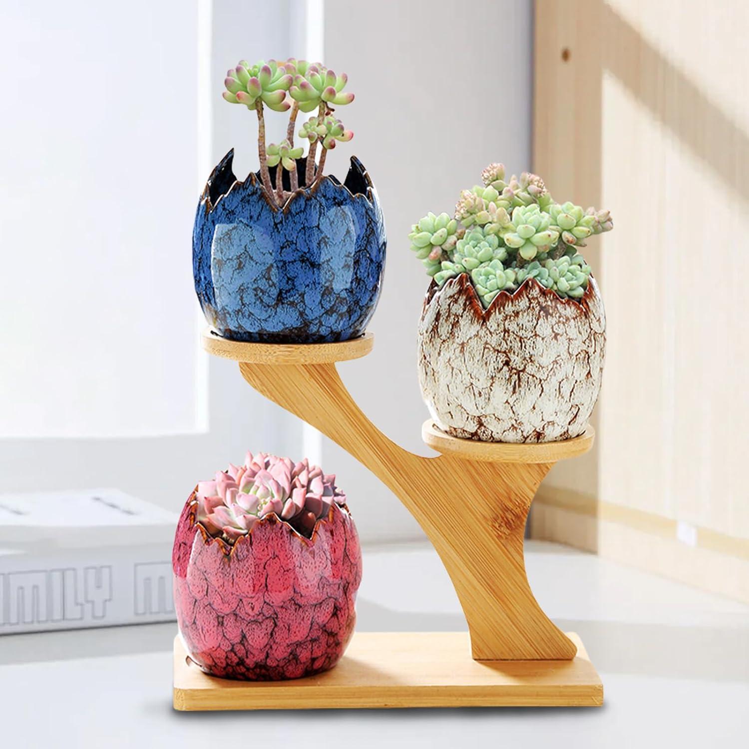 Macetas de Suculentas Cerámicas YYW con Soporte de Bambú 3 Pcs
