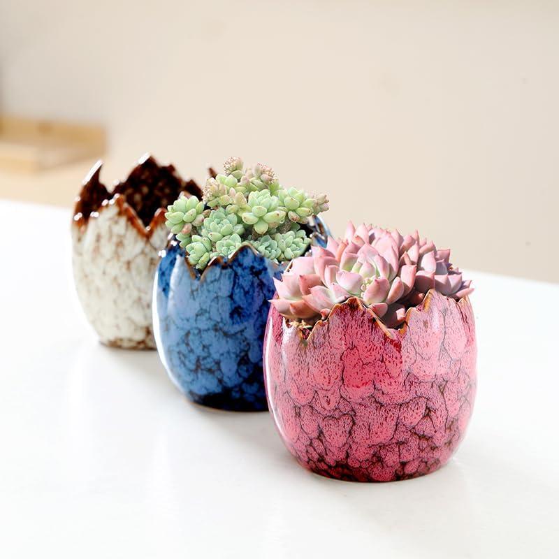 Macetas de Suculentas Cerámicas YYW con Soporte de Bambú 3 Pcs