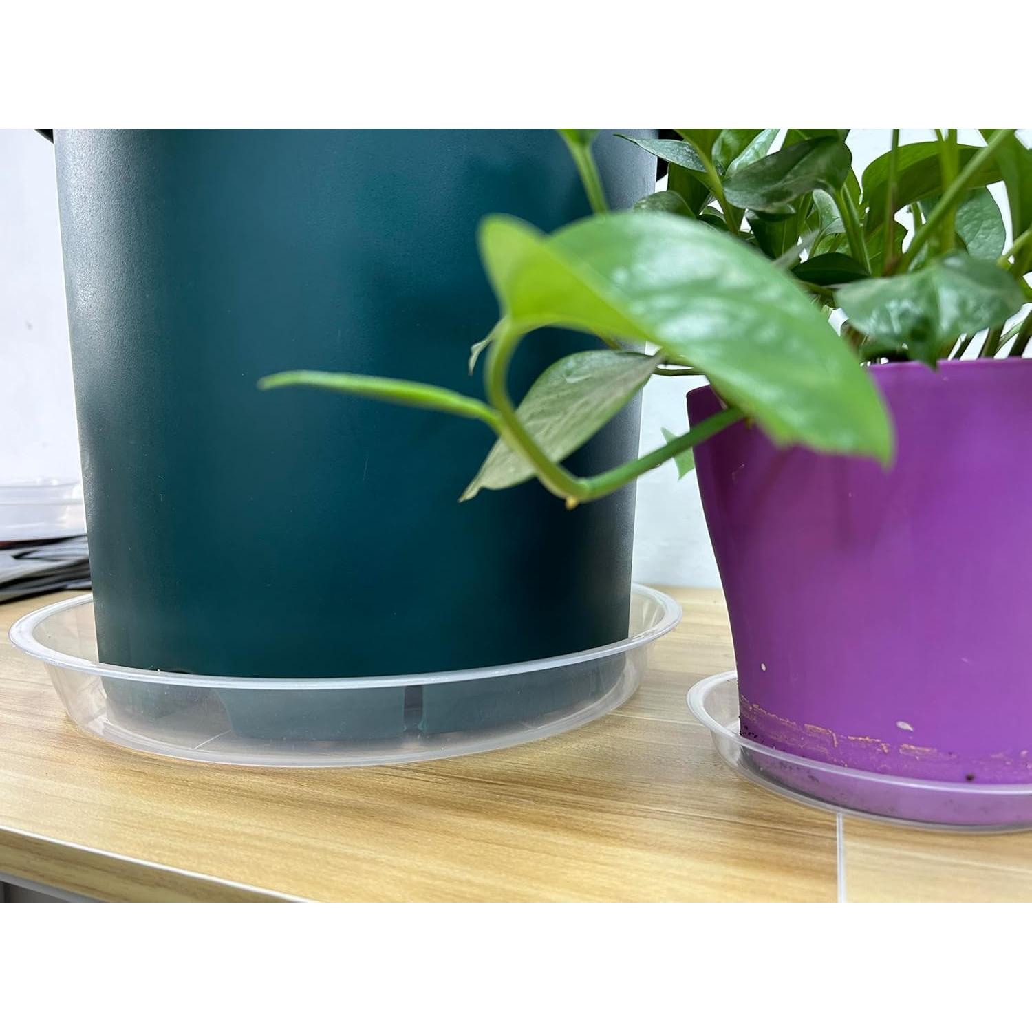 Paquete de 4 platos para plantas OUPSAUI 10.16 cm transparentes