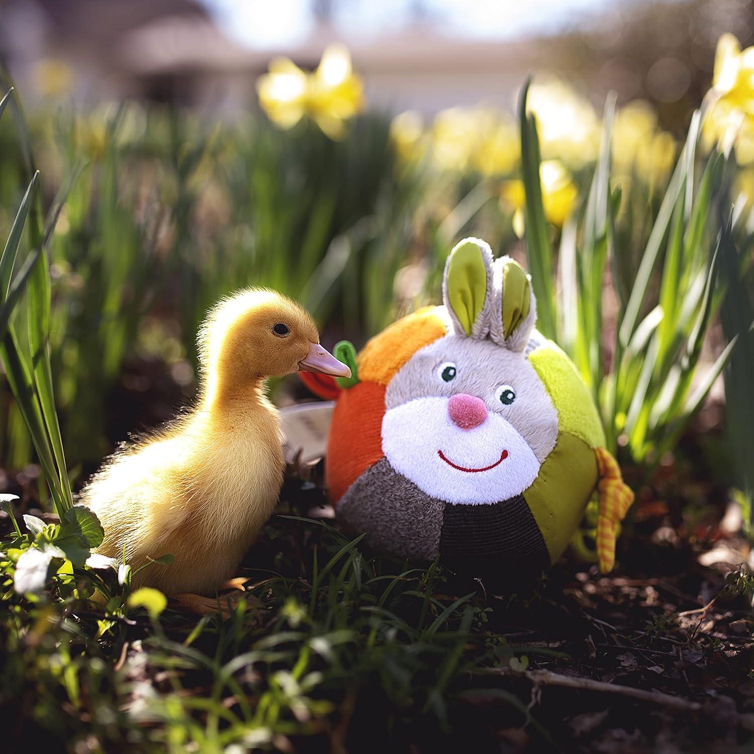 Pelota de Conejo HABA para Bebés - Juguete Sensorial Lavable