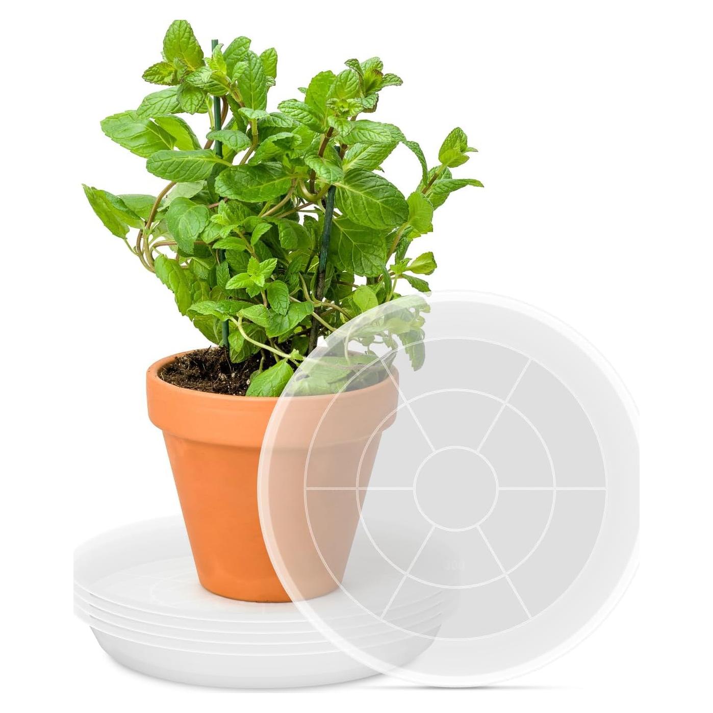 Bandeja de Maceta PACETAP 20 cm, Paquete de 5, Plástico Transparente