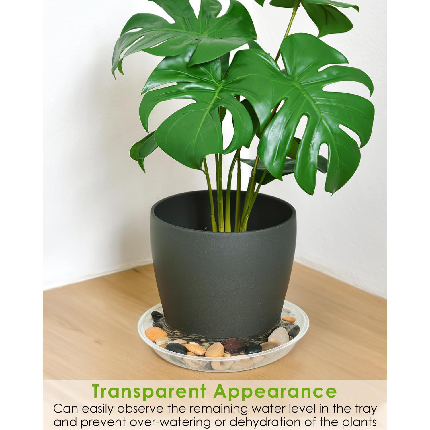 Bandeja de Maceta PACETAP 20 cm, Paquete de 5, Plástico Transparente