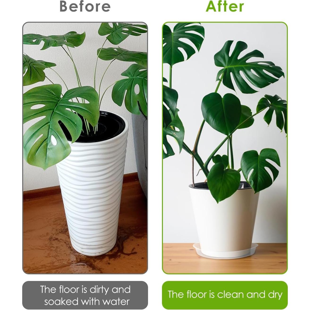 Bandeja de Maceta PACETAP 20 cm, Paquete de 5, Plástico Transparente