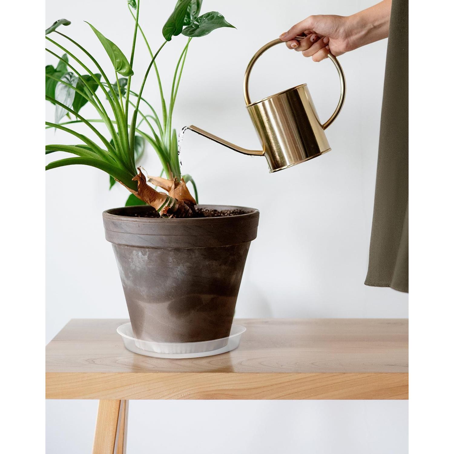 Bandeja de Maceta PACETAP 20 cm, Paquete de 5, Plástico Transparente