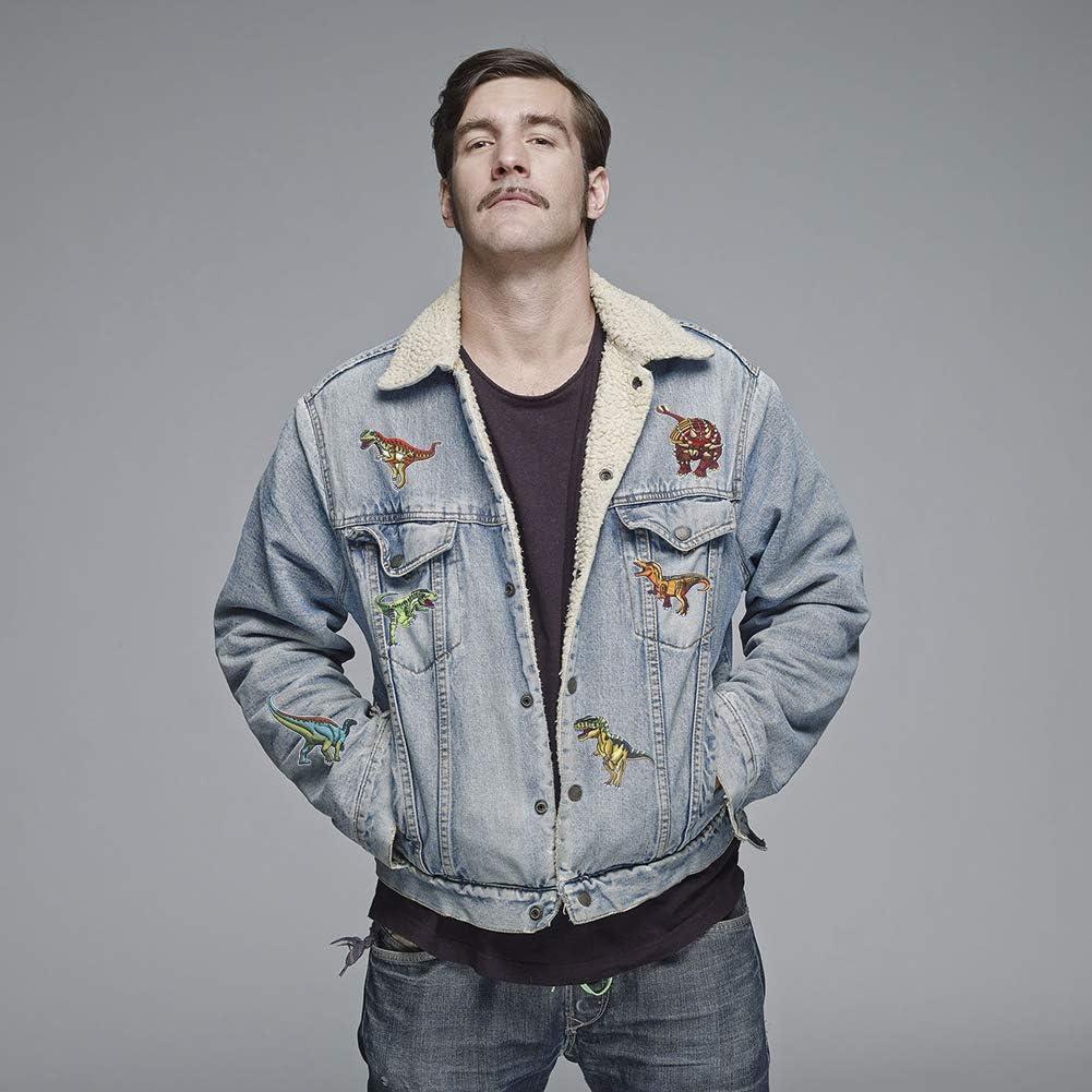 Parches de Bordado CCINEE 14 Piezas Dinosaurios Decorativos