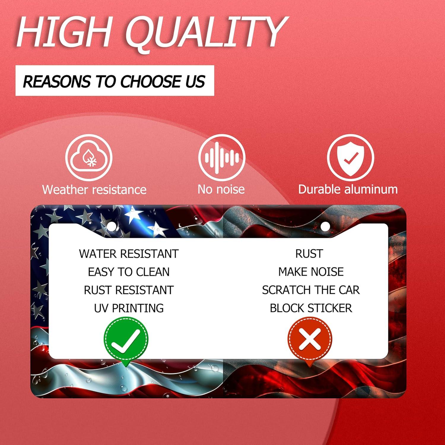 Marco de Placa de Licencia NINANMY Acero Inoxidable 31x16 cm