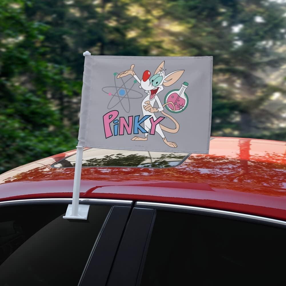 Bandera de Coche Rosa Graphics & More con Clip y Poste 48cm