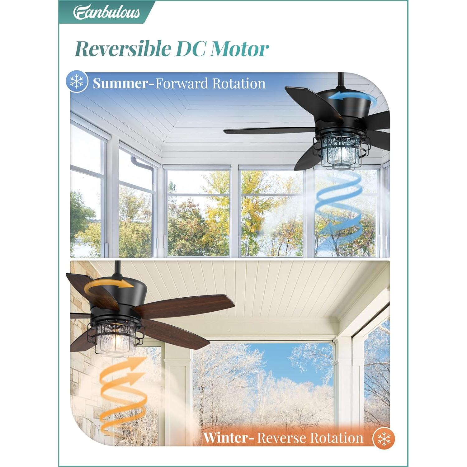 Ventilador de Techo Exterior Fanbulous 42" Negro IP65 Control Remoto