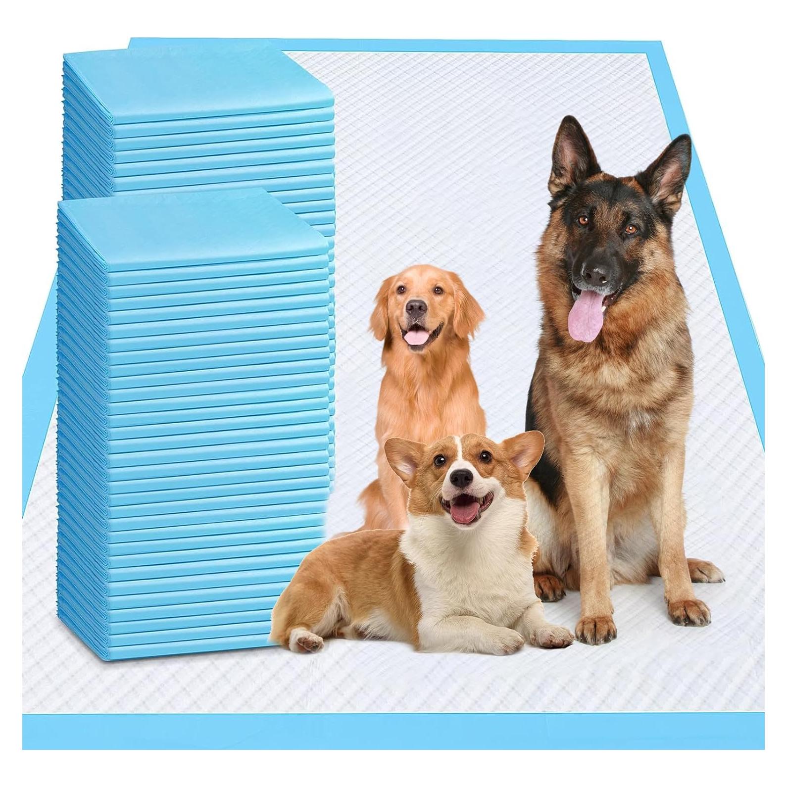 Almohadillas para Perros Extra Grandes Sin Olor 79x119cm 40 Unidades