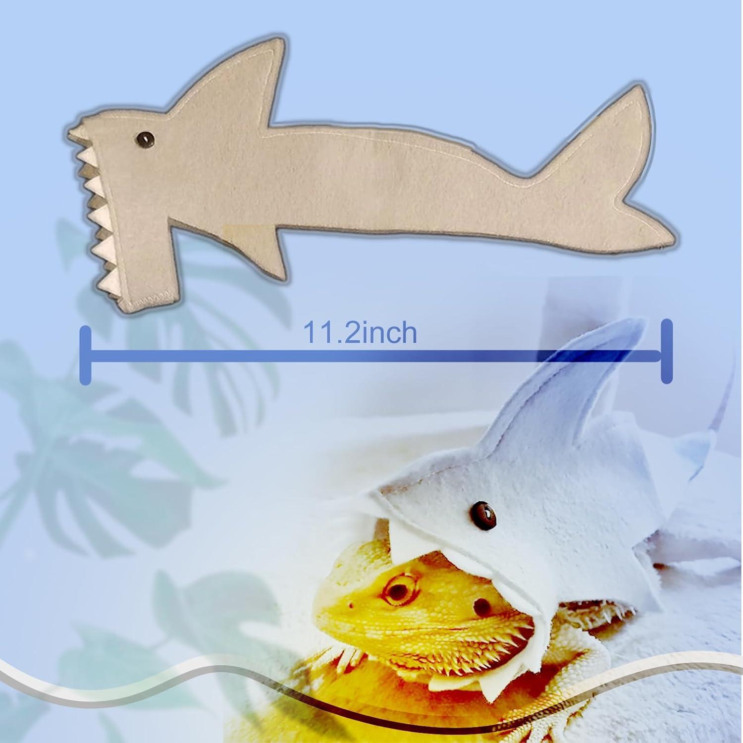 Juego de Transporte para Dragón Barbudo HNCH - Correa y Disfraz