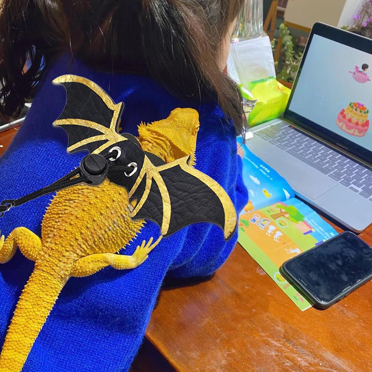 Juego de Transporte para Dragón Barbudo HNCH - Correa y Disfraz