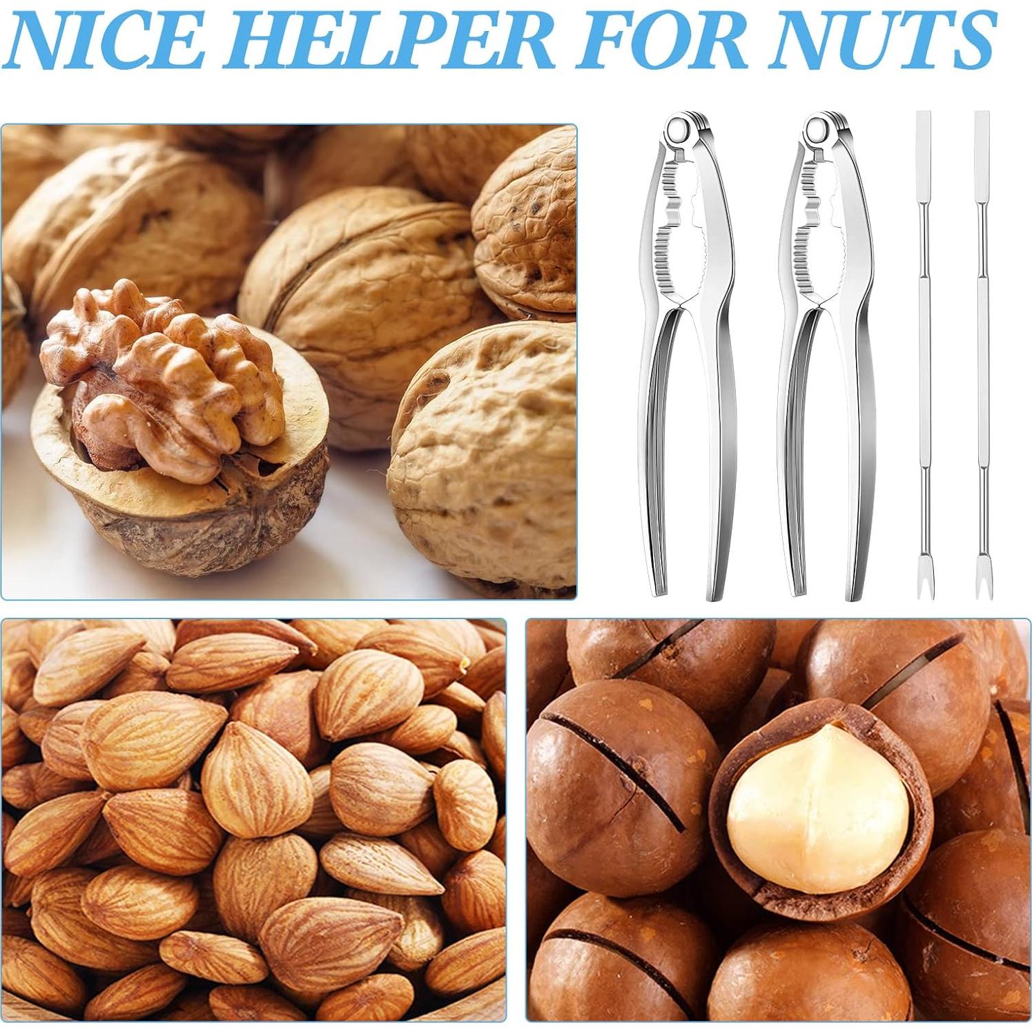 Juego de Herramientas para Mariscos Zhehao 21 Piezas Acero Inoxidable