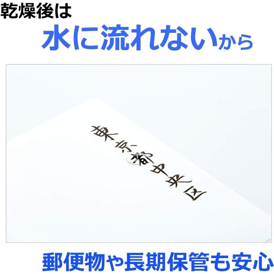 Set de 10 Plumas Pincel Tombow Fudenosuke Dura 0.5mm