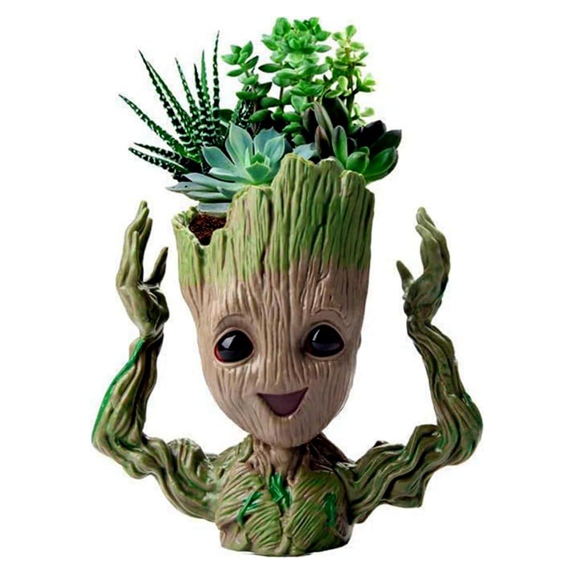 Maceta Sonriente WT WINGTENG para Suculentas 17.78 cm