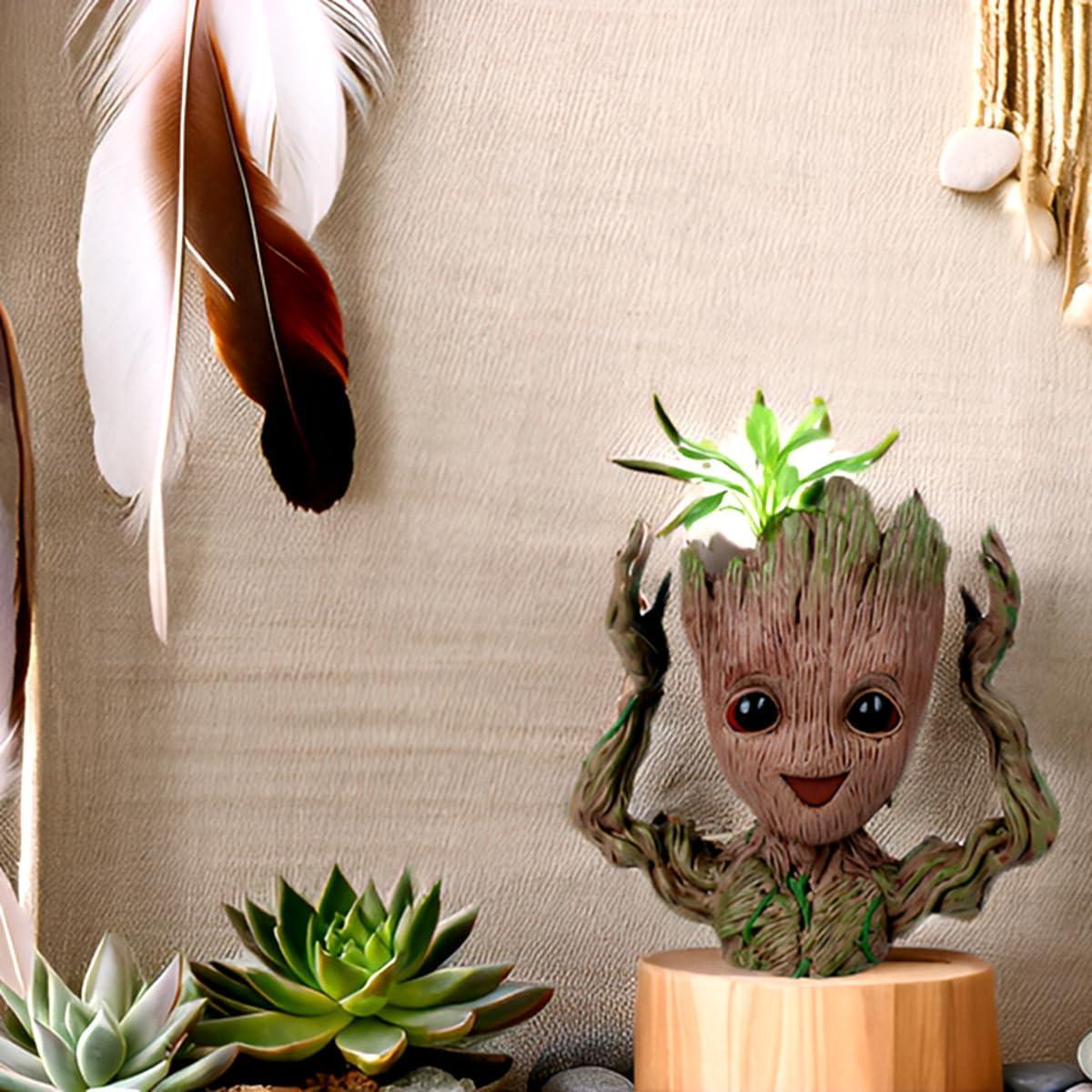 Maceta Sonriente WT WINGTENG para Suculentas 17.78 cm