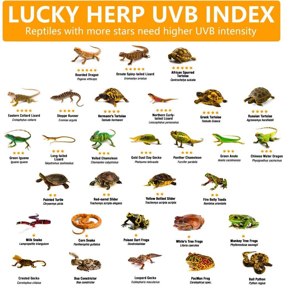 Lámpara de Calor UVB 100W LUCKY HERP para Reptiles y Anfibios